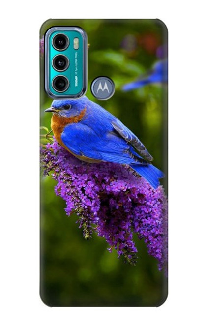 W1565 Bluebird of Happiness Blue Bird Hard Case and Leather Flip Case For Motorola Moto G60, G40 Fusion