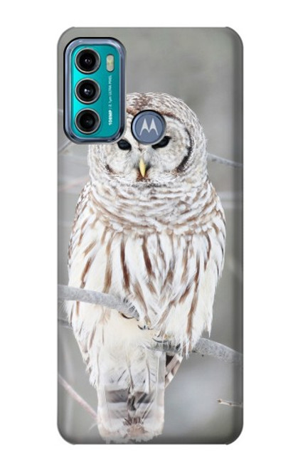 W1566 Snowy Owl White Owl Hard Case and Leather Flip Case For Motorola Moto G60, G40 Fusion