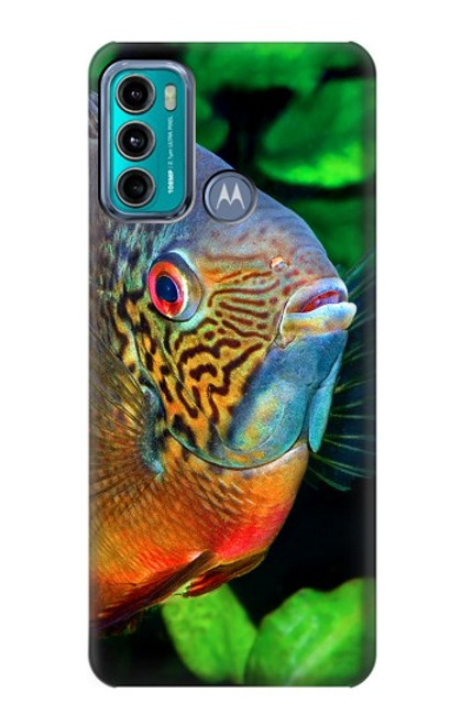 W1812 Cichlid Fish Hard Case and Leather Flip Case For Motorola Moto G60, G40 Fusion