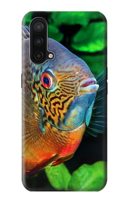 W1812 Cichlid Fish Hard Case and Leather Flip Case For OnePlus Nord CE 5G