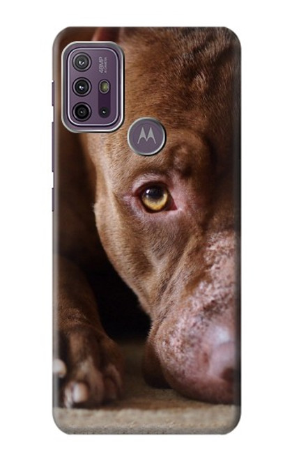 W0519 PitBull Face Hard Case and Leather Flip Case For Motorola Moto G10 Power