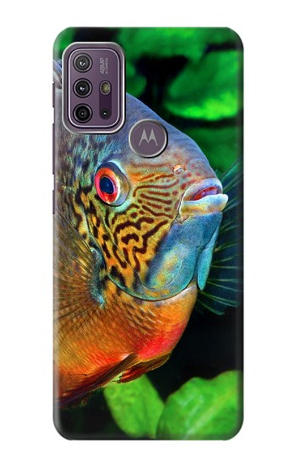 W1812 Cichlid Fish Hard Case and Leather Flip Case For Motorola Moto G10 Power