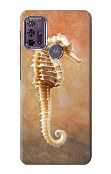 W2674 Seahorse Skeleton Fossil Hard Case and Leather Flip Case For Motorola Moto G10 Power