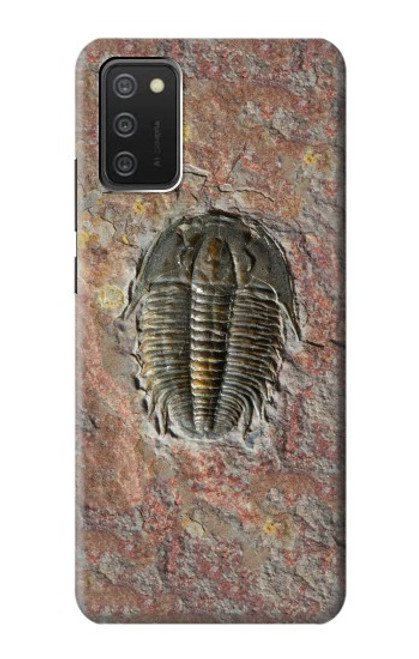 W1454 Trilobite Fossil Hard Case and Leather Flip Case For Samsung Galaxy A03S