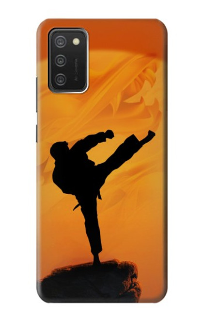 W3024 Kung Fu Karate Fighter Hard Case and Leather Flip Case For Samsung Galaxy A03S