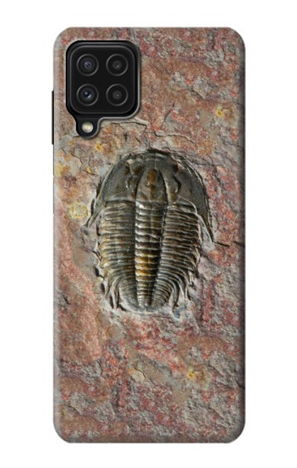 W1454 Trilobite Fossil Hard Case and Leather Flip Case For Samsung Galaxy A22 4G