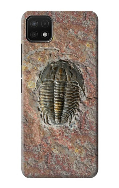 W1454 Trilobite Fossil Hard Case and Leather Flip Case For Samsung Galaxy A22 5G