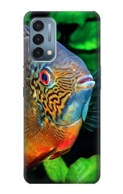 W1812 Cichlid Fish Hard Case and Leather Flip Case For OnePlus Nord N200 5G