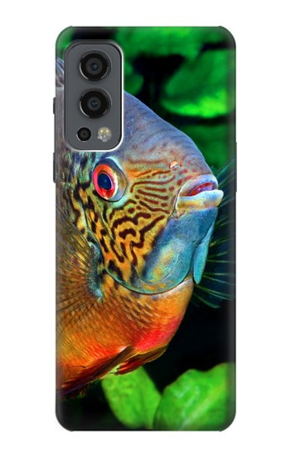 W1812 Cichlid Fish Hard Case and Leather Flip Case For OnePlus Nord 2 5G