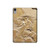 W0380 Dinosaur Fossil Tablet Hard Case For iPad mini 6, iPad mini (2021)