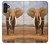 W0310 African Elephant Hard Case and Leather Flip Case For Samsung Galaxy A13 5G