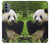 W1073 Panda Enjoy Eating Hard Case and Leather Flip Case For Motorola Moto G31