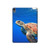 W3898 Sea Turtle Tablet Hard Case For iPad Air (2022, 2020), Air 11 (2024), Pro 11 (2022)