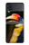 W3876 Colorful Hornbill Hard Case For Samsung Galaxy Z Flip 4
