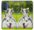 W3795 Kitten Cat Playful Siberian Husky Dog Paint Hard Case and Leather Flip Case For Motorola Edge 30