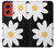 W2315 Daisy White Flowers Hard Case and Leather Flip Case For Motorola Moto G Stylus 5G (2024)