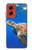 W3898 Sea Turtle Hard Case and Leather Flip Case For Motorola Moto G Stylus 5G (2024)