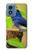 W3839 Bluebird of Happiness Blue Bird Hard Case and Leather Flip Case For Motorola Moto G Play 4G (2024)