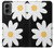 W2315 Daisy White Flowers Hard Case and Leather Flip Case For Motorola Moto G 5G (2024)