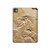 W0380 Dinosaur Fossil Tablet Hard Case For iPad Pro 11 (2024)