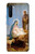 W2276 The Nativity Hard Case and Leather Flip Case For OnePlus Nord