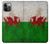 W2976 Wales Football Soccer Flag Hard Case and Leather Flip Case For iPhone 12, iPhone 12 Pro