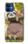 W3138 Cute Baby Sloth Paint Hard Case and Leather Flip Case For iPhone 12 mini