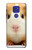 W1619 Cute Guinea Pig Hard Case and Leather Flip Case For Motorola Moto G9 Play