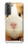 W1619 Cute Guinea Pig Hard Case and Leather Flip Case For Samsung Galaxy S21 Plus 5G, Galaxy S21+ 5G