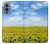 W0232 Sunflower Hard Case and Leather Flip Case For OnePlus 9