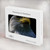 W2046 Bald Eagle Hard Case Cover For MacBook Pro 15″ - A1707, A1990