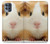 W1619 Cute Guinea Pig Hard Case and Leather Flip Case For Motorola Moto G100