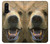 W0840 Grizzly Bear Face Hard Case and Leather Flip Case For OnePlus Nord CE 5G