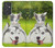 W3795 Grumpy Kitten Cat Playful Siberian Husky Dog Paint Hard Case and Leather Flip Case For Samsung Galaxy Quantum 2