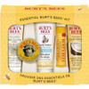 Burt's Bees Essential Everyday Beauty Set