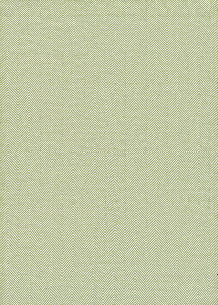 Couristan Cottages Bungalow Green Indoor/outdoor Area Rugs