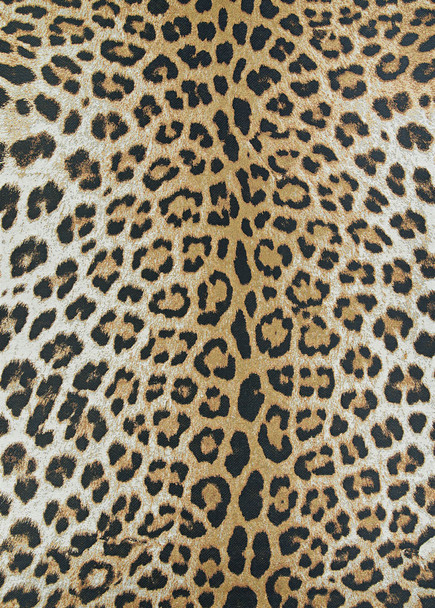 Couristan Dolce Amur Leopard New Gold Indoor/outdoor Area Rugs