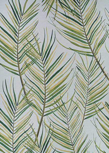 Couristan Dolce Bamboo Forest Frost Indoor/outdoor Area Rugs