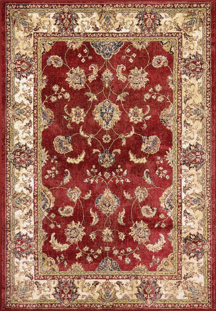 Dynamic Ancient Garden Machine-made 57158 Red/ivory Area Rugs