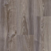 Shaw Elan Plank - Grey Chestnut - Glue Down Fiberglass Luxury Vinyl Plank - 7" x 48" Vinyl Plank 07062