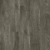 CLEARANCE - Shaw Parkview King Street Waterproof WPC Luxury Vinyl Plank 7" x 48" with Attached Pad 0572 - Sample