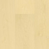 PREMIUM QUALITY - Lion's Seaside Summit Collection - Beach Blessing - 9.5" x 84" Waterproof Luxury Vinyl Plank Flooring
