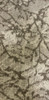 Shaw Rooted 18"x36" Brown Carpet Tile