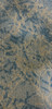 Shaw Rooted 18"x36" Navy Bronze Carpet Tile