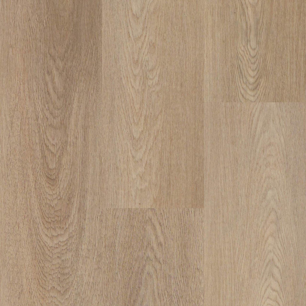 AL899030---2100px---CAMERA---