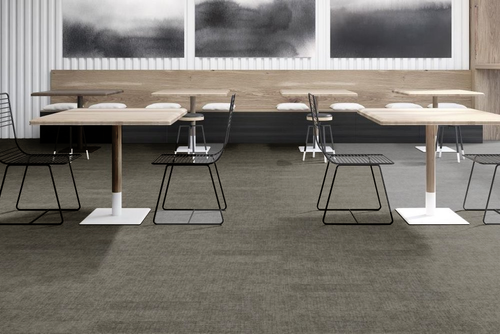 MOVING SALE - Shaw Coded Collection - Greige - Glue Down Luxury Vinyl Plank - 6" x 48" Vinyl Plank 00504 SQFT Price : 1.19