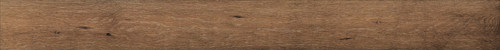 Plank