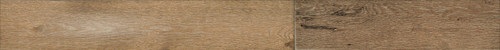 Plank