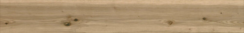 Plank