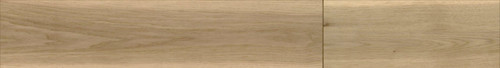 Plank